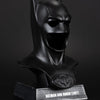 Batman & Robin Cowl