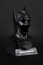 Batman & Robin Cowl