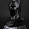 Batman & Robin Cowl