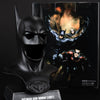 Batman & Robin Cowl